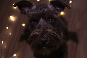 Meet your Posher, Lydia